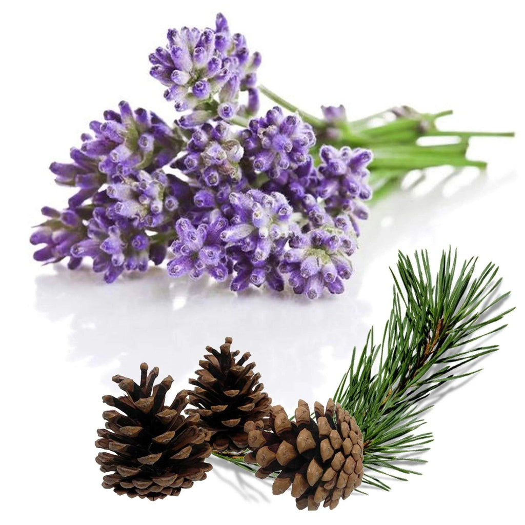 Square natural forest face soap bar infused with lavender and fir needle essential oils — view 5