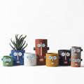 Handmade ceramic dummy robot flower pot displaying a green succulent plant on a garden patio.