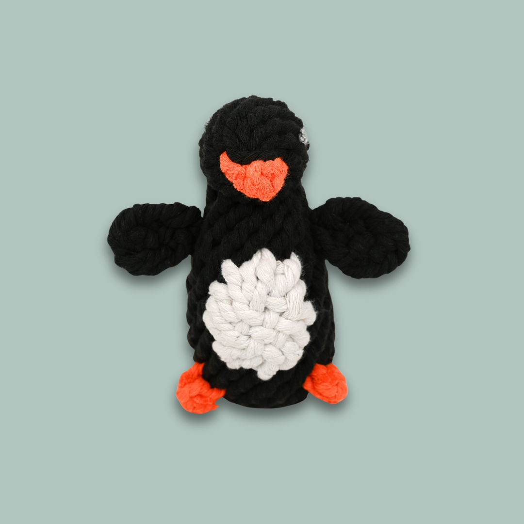 Kaixin the Penguin Rope Toy-1