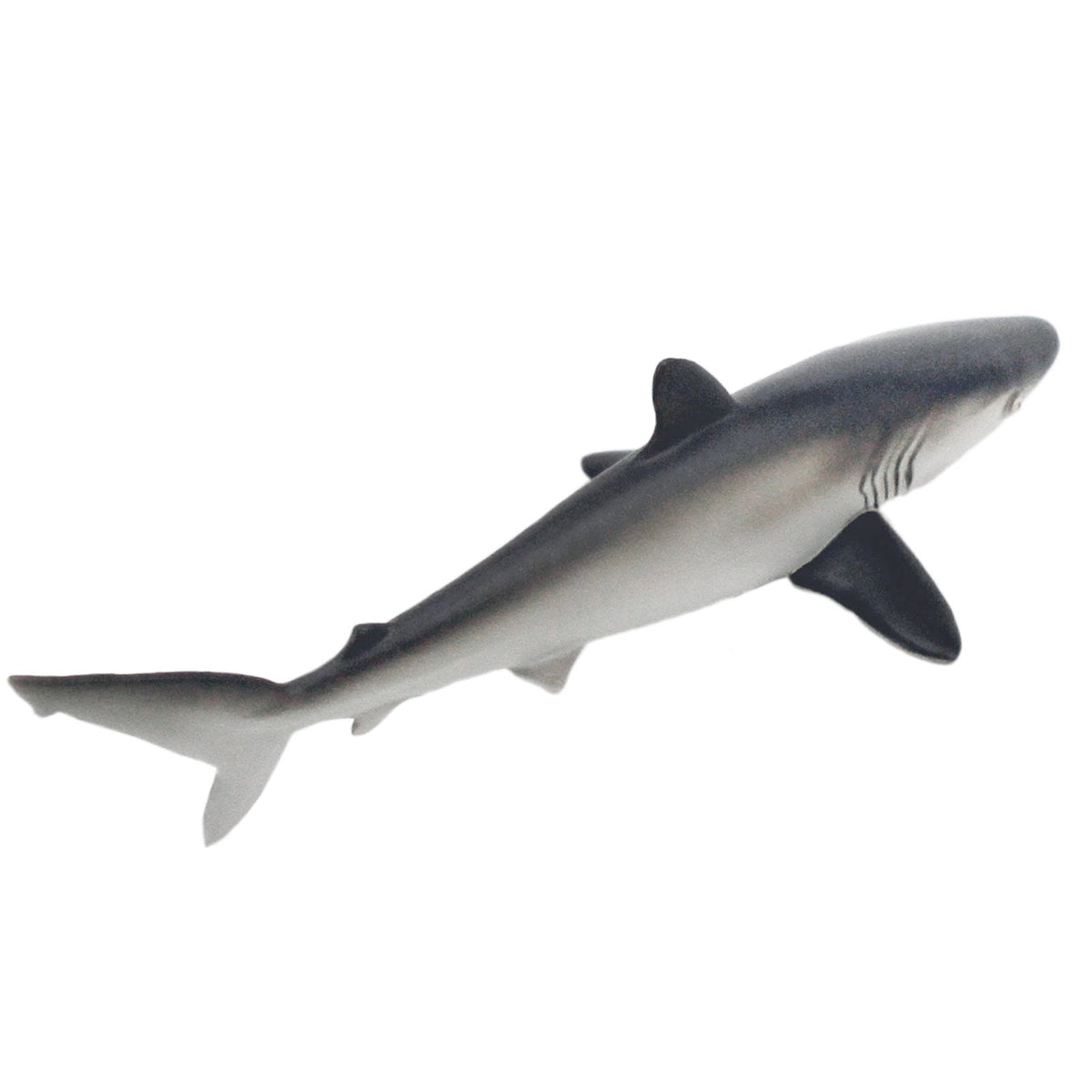 Silky Shark Toy-3
