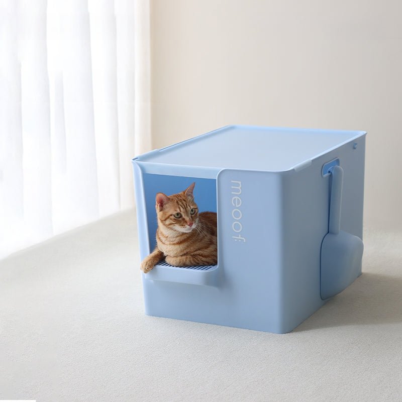 Extra large semi-enclosed cat litter box with anti-tracking step and scoop set in modern design