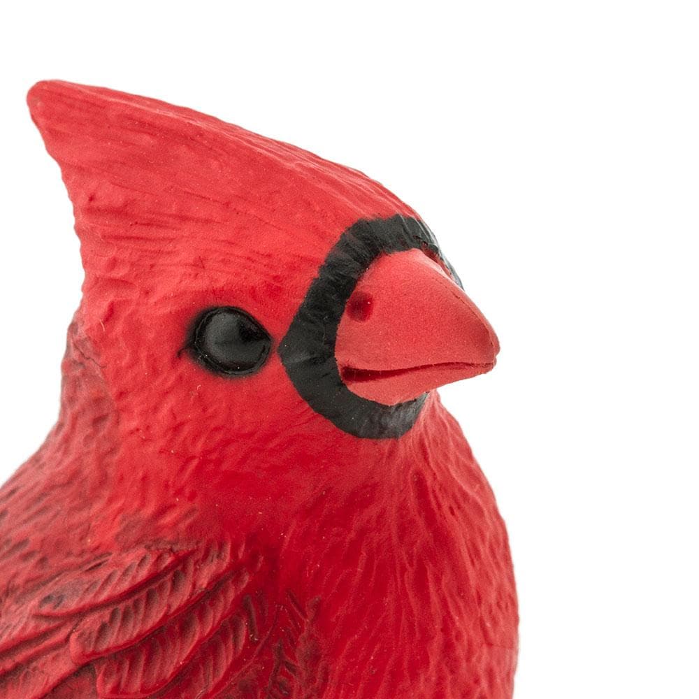 Cardinal Toy-3