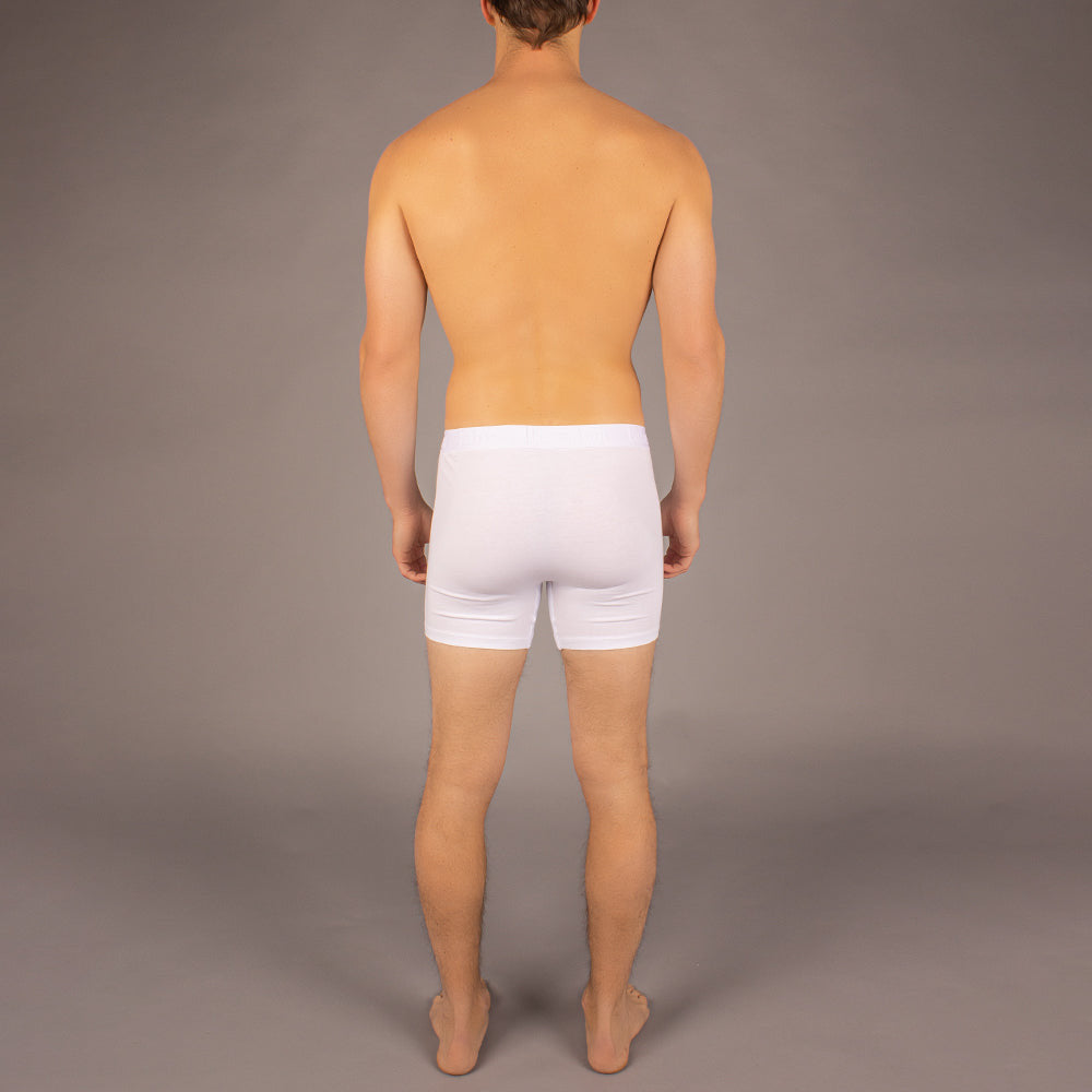 Newman stripe boxer brief bundle in soft breathable cotton with raised logo waistband for men. — view 3