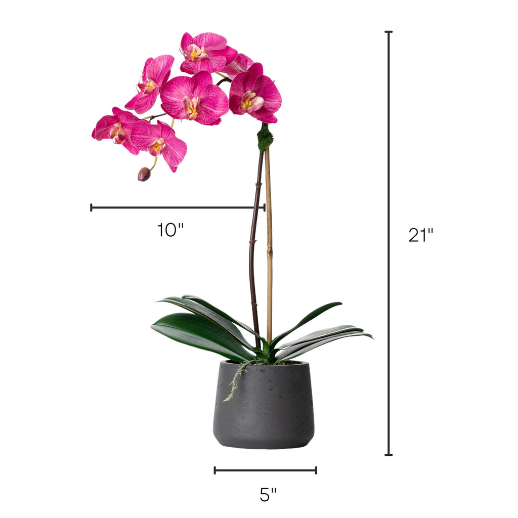 Artificial orchid plant - pink phalaenopsis orchid in black pot - 21"-2