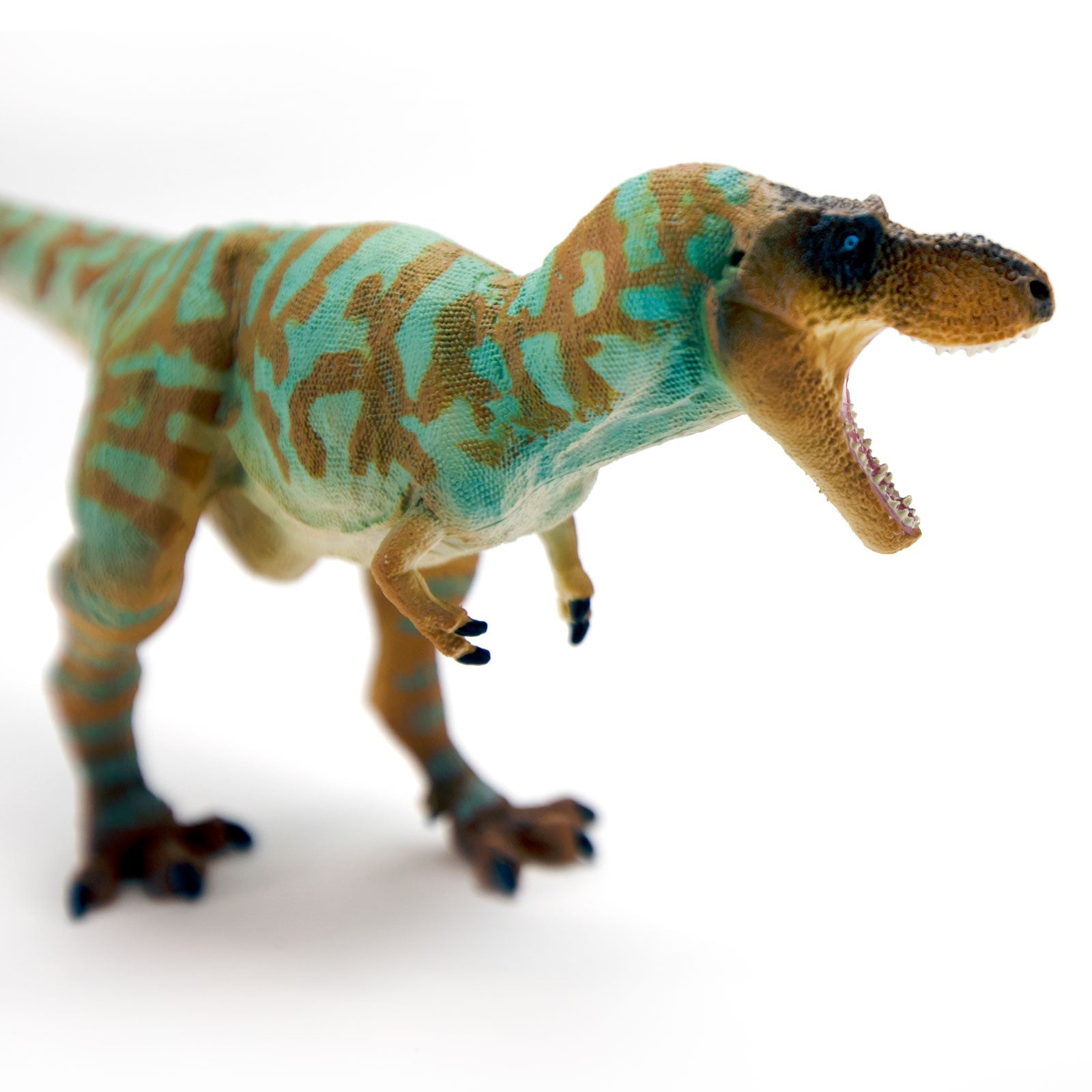 Albertosaurus toy dinosaur figure in brown and aqua camouflage pattern standing on white background — view 4