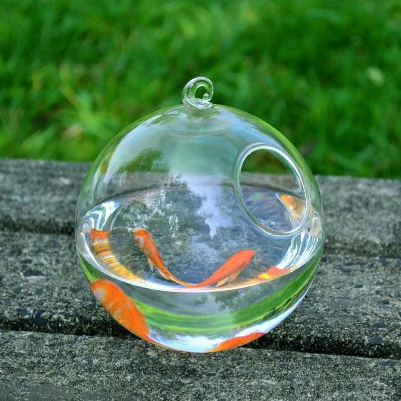 Mini hanging fish tank in clear borosilicate glass suspended from an elegant curved metal bracket — view 2