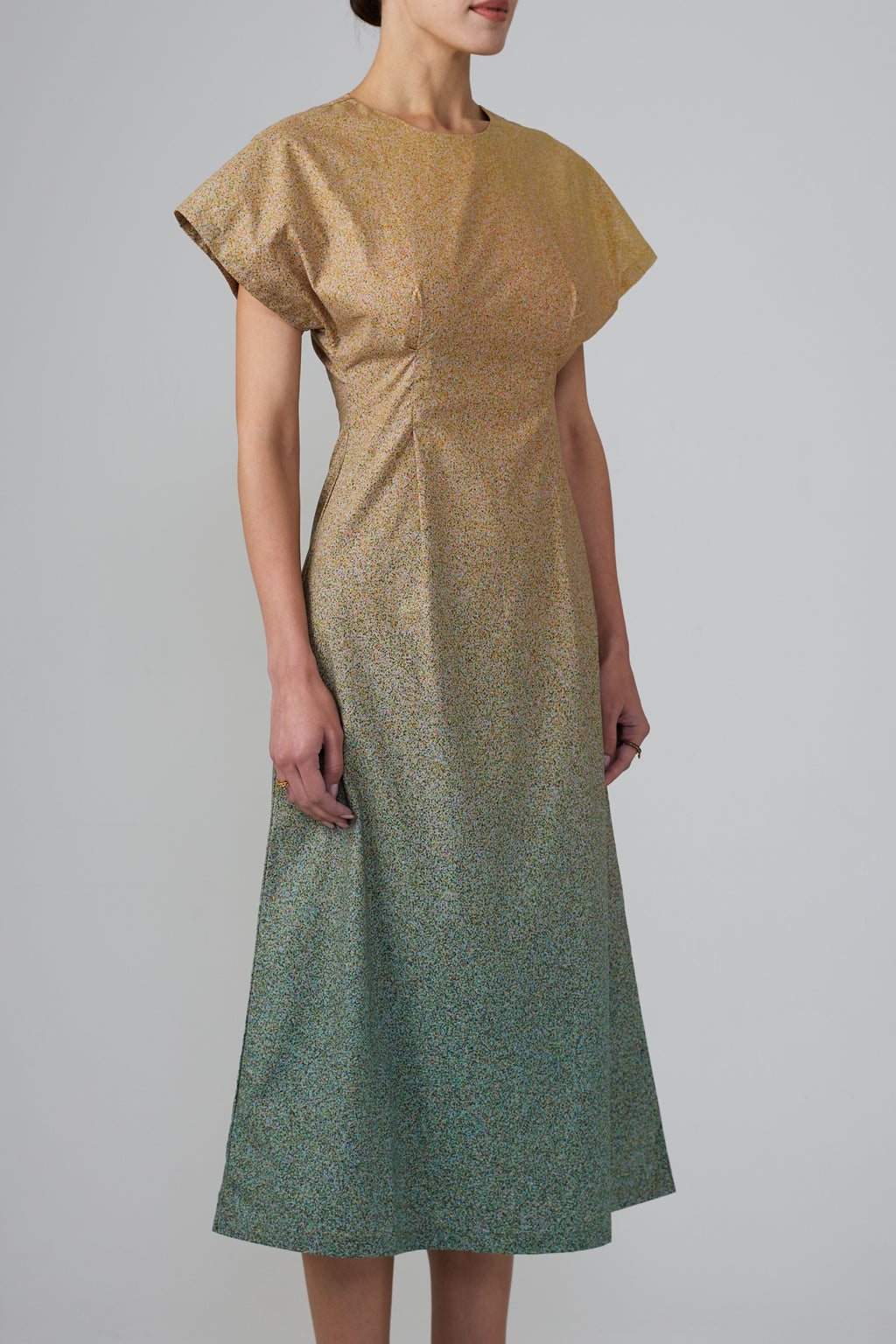 Film Grains Dress-1