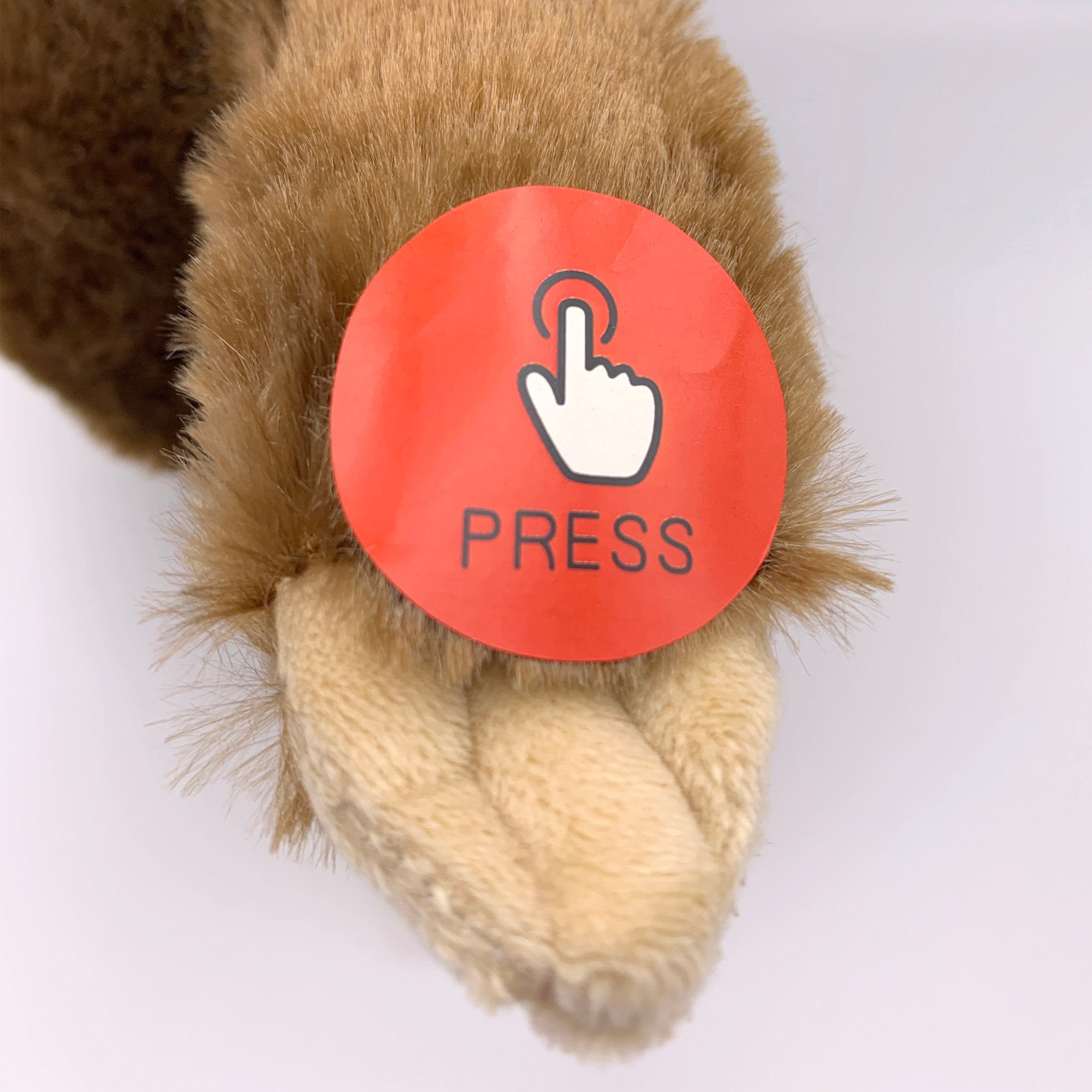 'Nuna' the Cute Musical Sloth Plush Toy