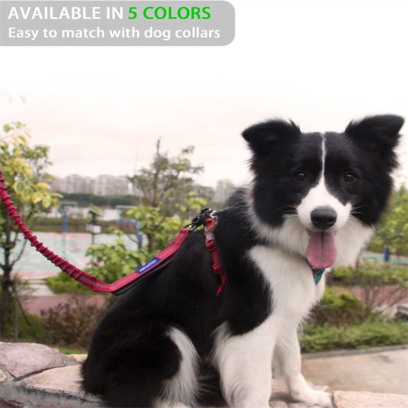 4 in 1 shock absorbing dog leash made of durable nylon with reflective stitching — view 6