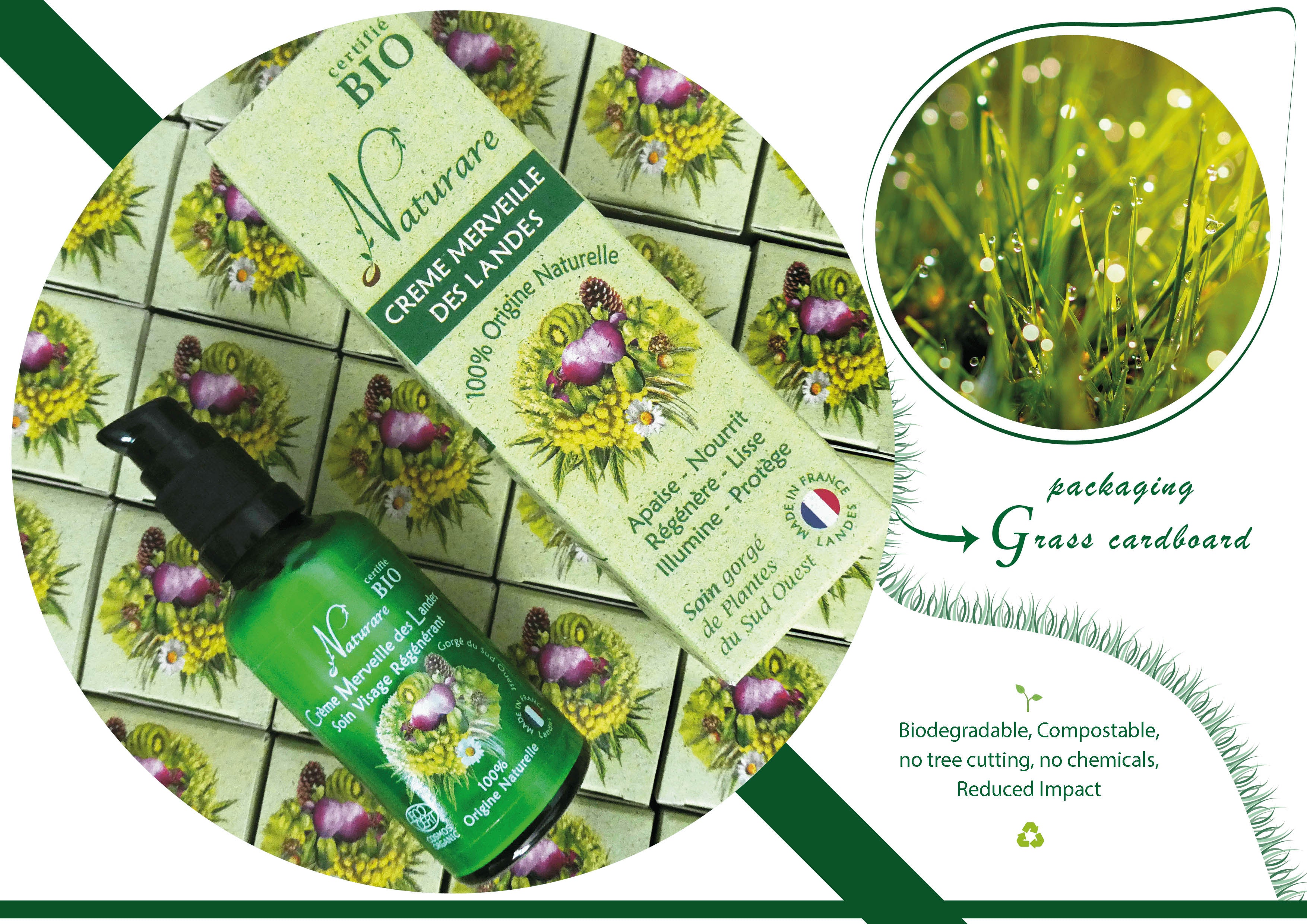 Merveille des Landes organic anti-aging face cream jar for sensitive skin regeneration — view 9