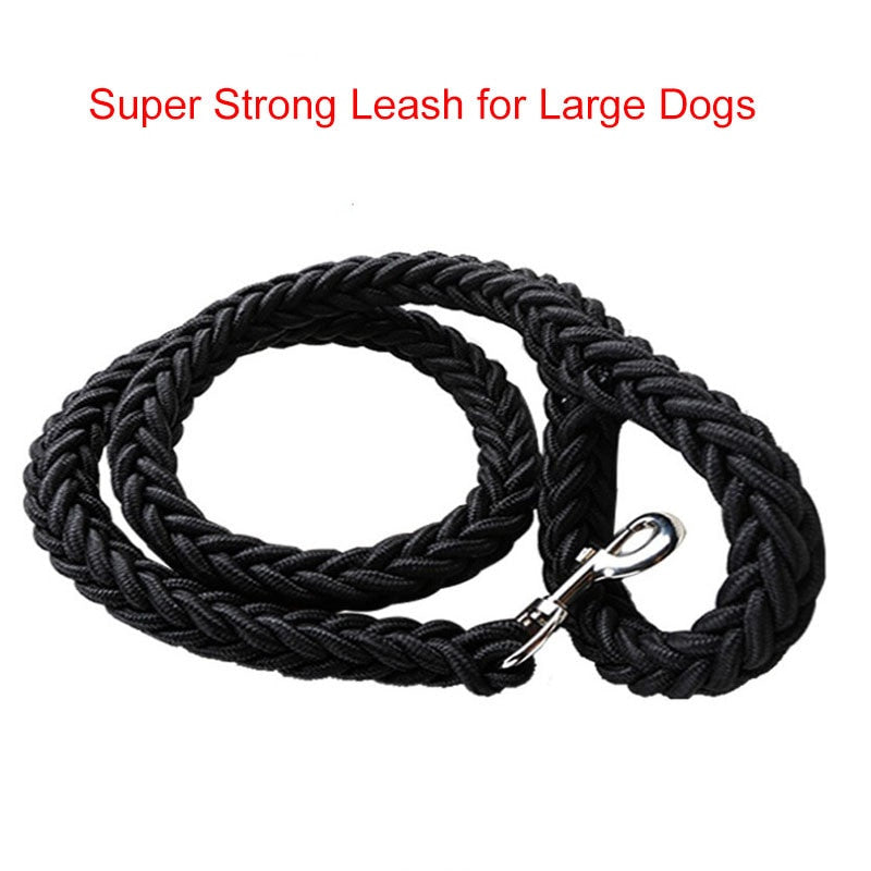 Heavy duty nylon dog leash in black and green with quick release metal clasp
