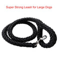 Heavy duty nylon dog leash in black and green with quick release metal clasp