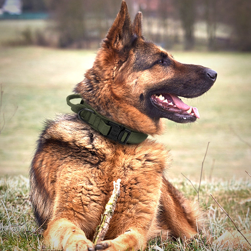 Tactical dog collar in camouflage made of heavy-duty nylon with a built-in control handle — view 4