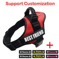 Dog Harness ID Tag Custom Harness
