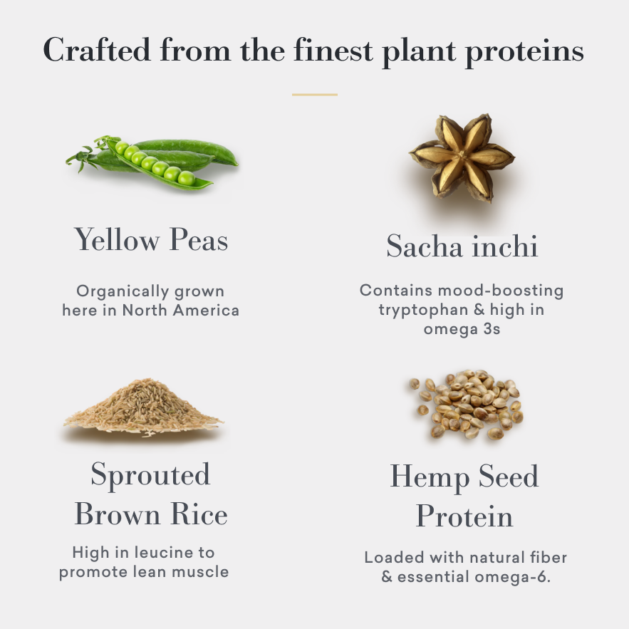 Organic raw cacao plant based protein powder blend shown in premium supplement packaging — view 5