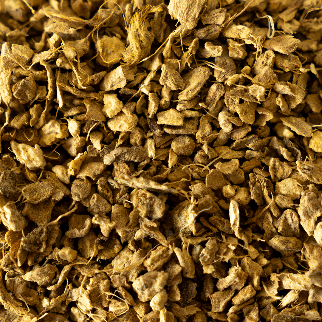 Organic Ginger | Wholesale-1