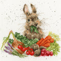 Grow Your Own counted cross stitch kit with floral design, Aida fabric, and sorted cotton threads