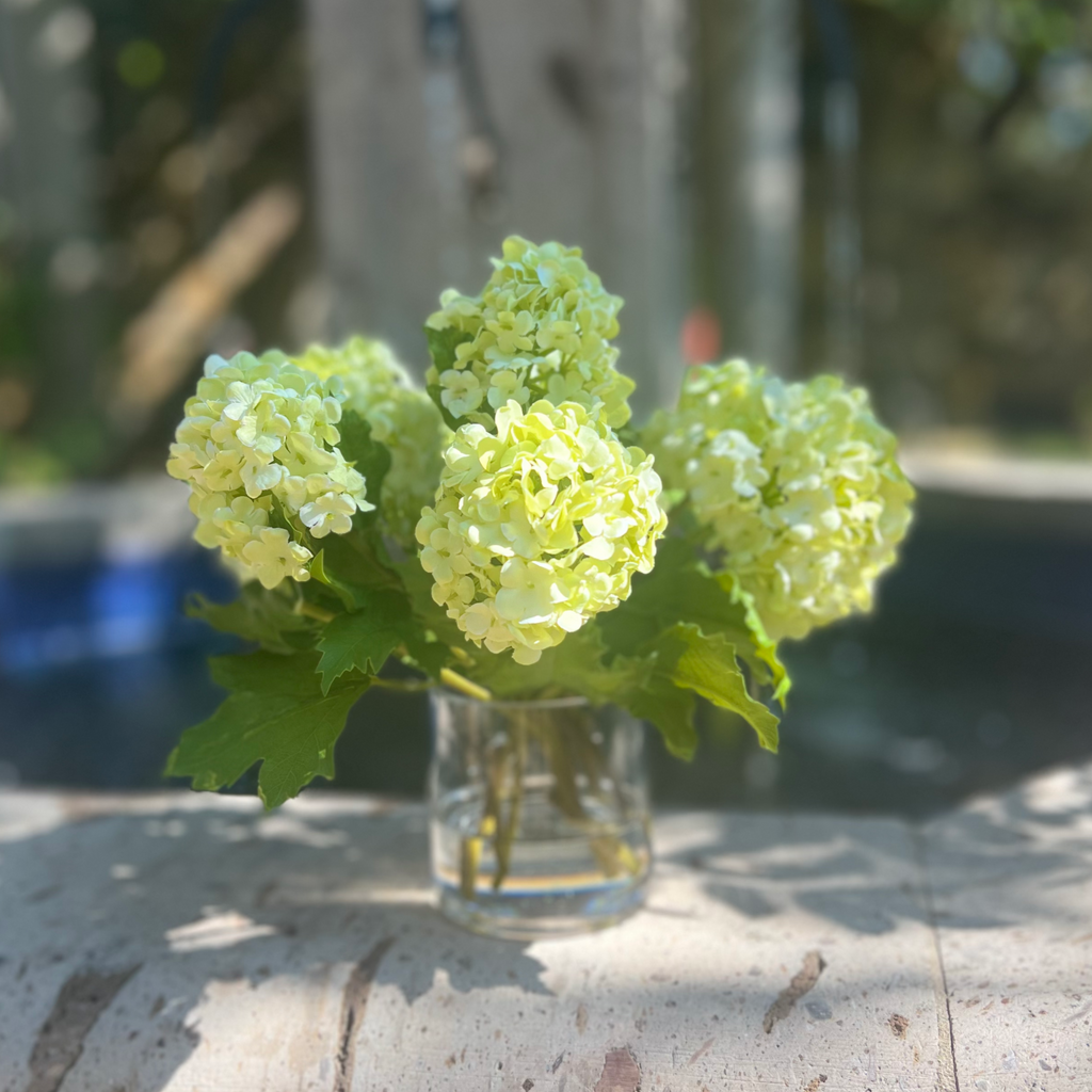 Real touch green hydrangea arrangement in glass vase - 8"-0
