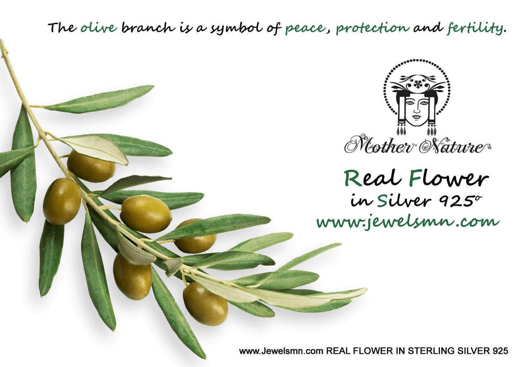 Large Hoop Earrings: Olive Branch Design - Silver or Gold Plated-3