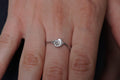 Minimalist sterling silver ring featuring an authentic embedded sea shell on a textured twig band