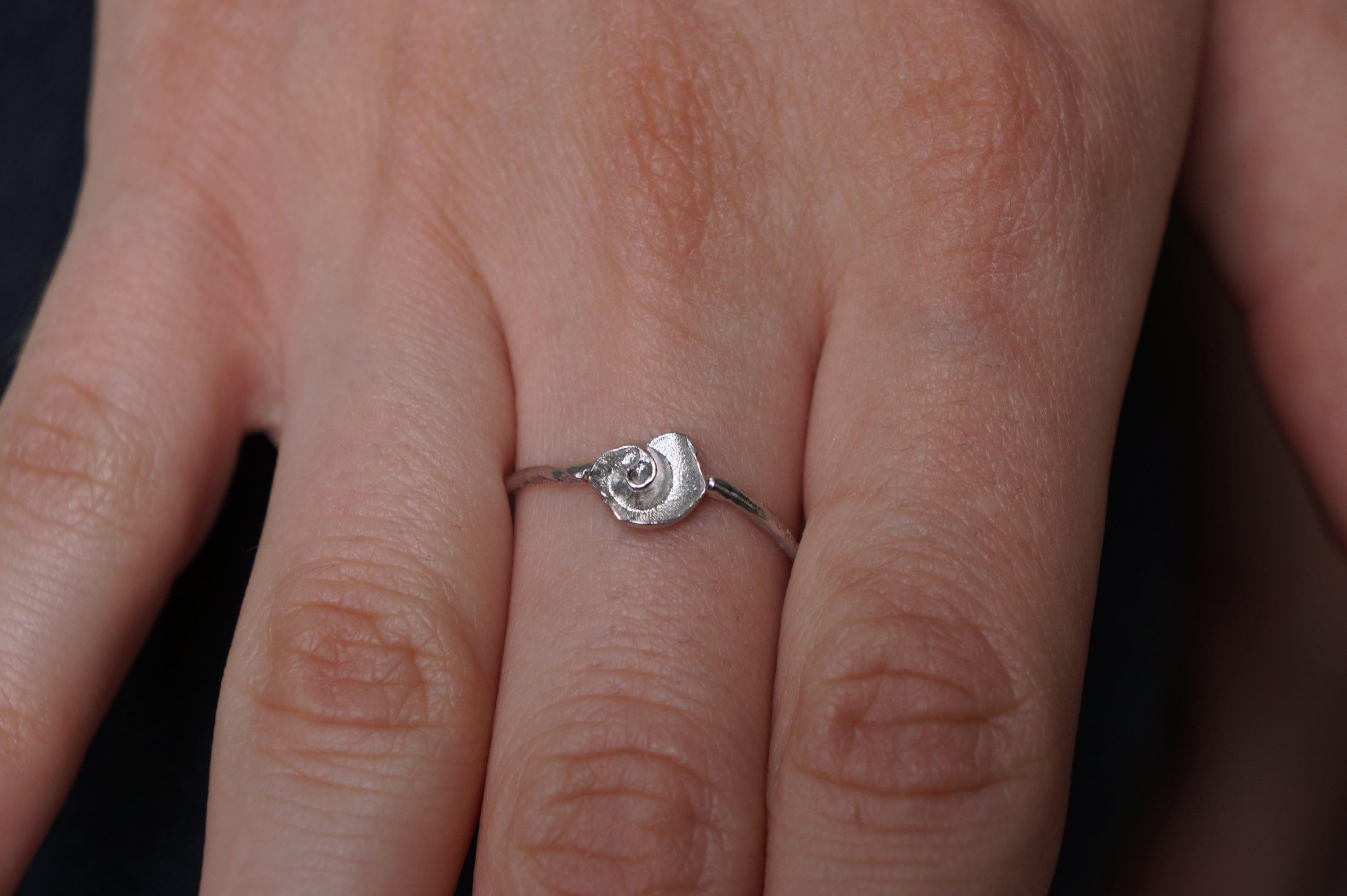 Minimalist sterling silver ring featuring an authentic embedded sea shell on a textured twig band