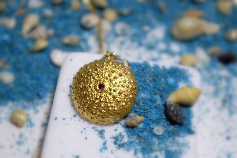 Real Sea Urchin Gold Necklace, Handmade Nature Jewelry, Organic Beach Pendant, Gift for Longevity & Health, Eco Sustainable Brass-3