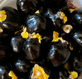 Ripkitty Signature Ornamental Ackee Seeds (Blighia sapida) | High-Viability Tropical Seeds-0