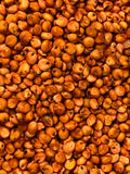 Ripkitty Sorghum Bicolor, (Milo Short) Seeds-0