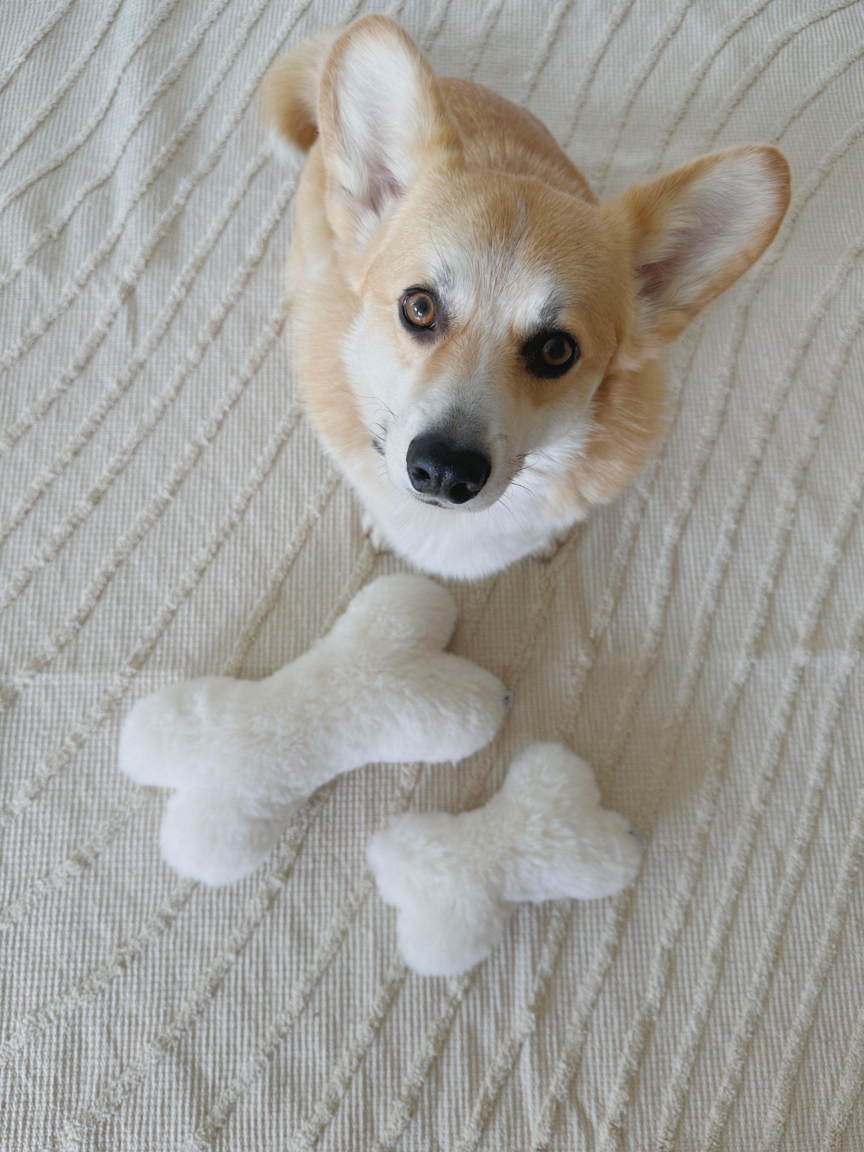 White natural sheepskin dog bone toy filled with eco friendly wool for safe pet play — view 4