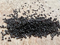 Ripkitty Premium Whole Raw Organic Blue Poppy Spain Seeds - Papaver Somniferum - Multicolor - Ornamental Garden Bloom-0