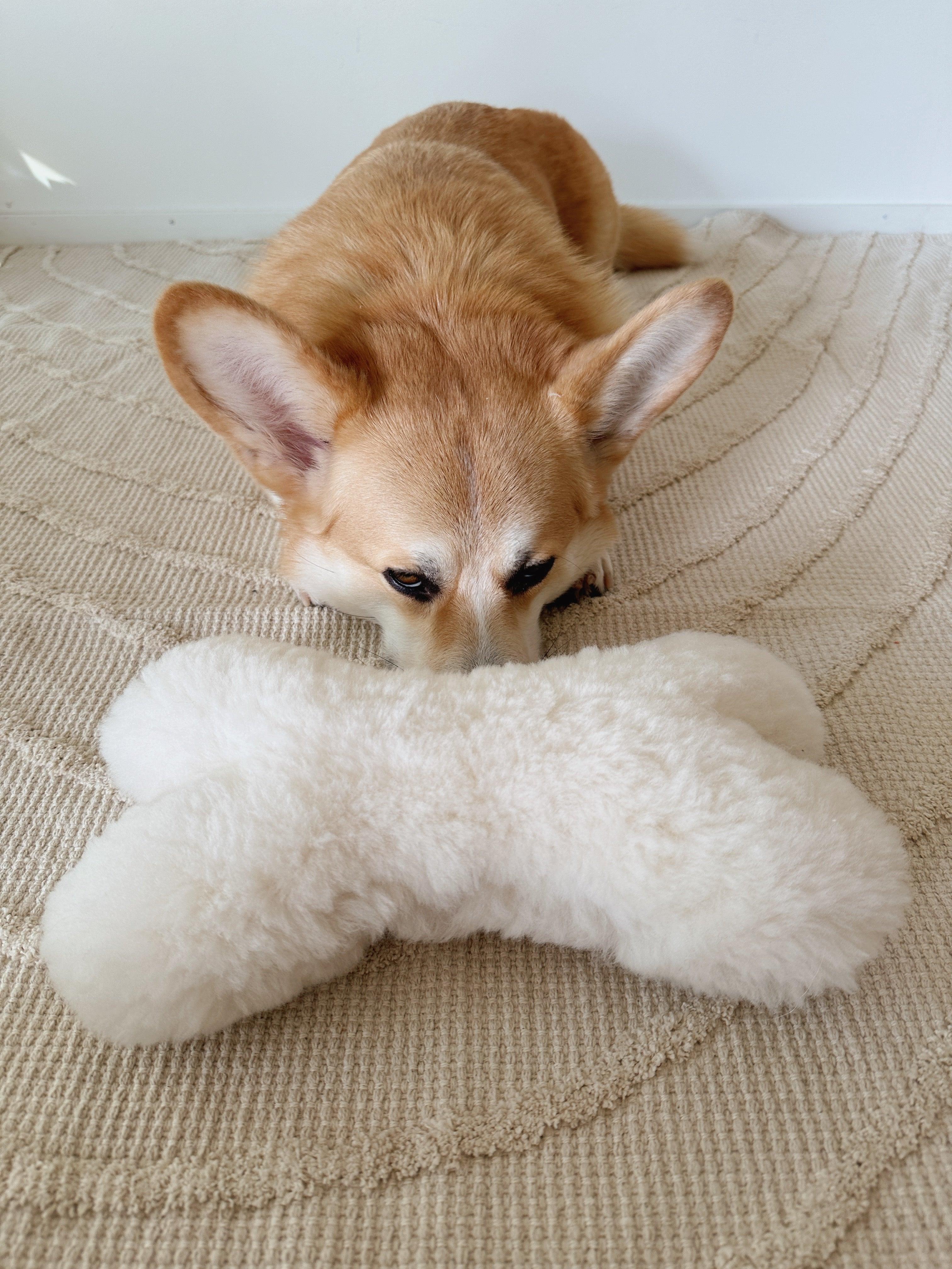 White natural wool bone shaped dog toy without plastic fillers for safe and sensory pet play — view 3