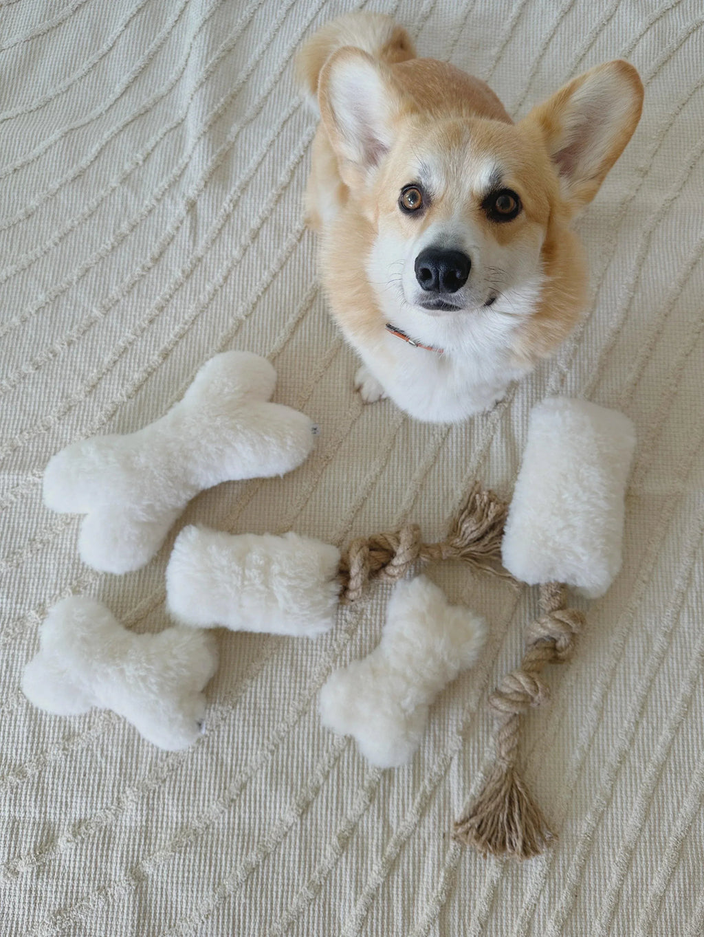 Natural sheepskin dog toy bone in black, filled with eco-friendly wool offcuts and hidden bell — view 5