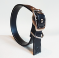 Classic black vegan apple leather dog collar with metal buckle and adjustable eyelets