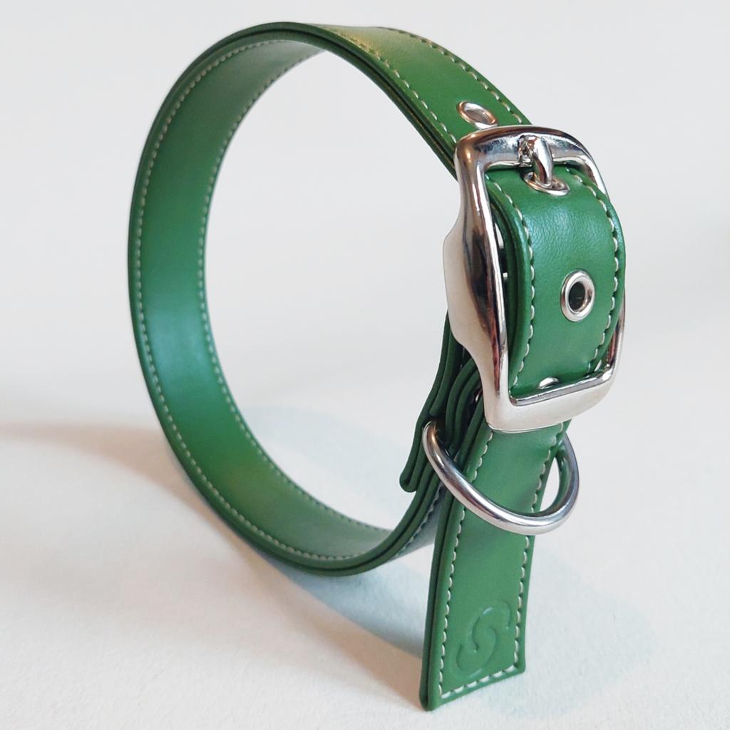 Forest green vegan apple leather dog collar with sturdy metal buckle and adjustable eyelets