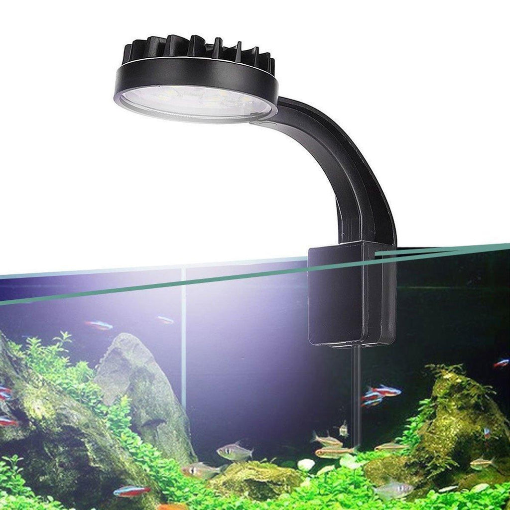 Small LED aquarium light clipped onto a desktop fish tank highlighting white and blue illumination — view 5