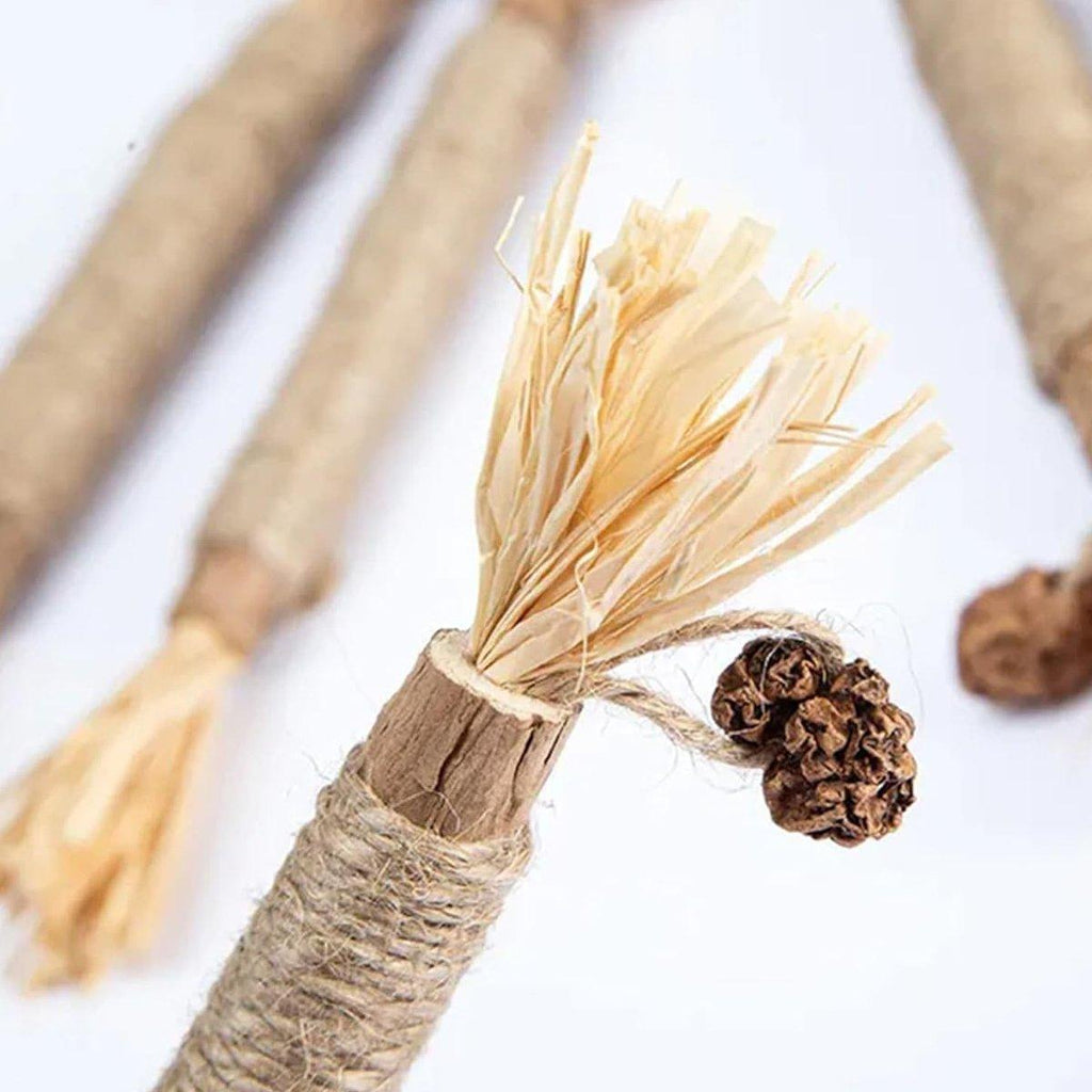 Natural silvervine cat chew stick with corn husk and hemp rope for dental cleaning — view 4