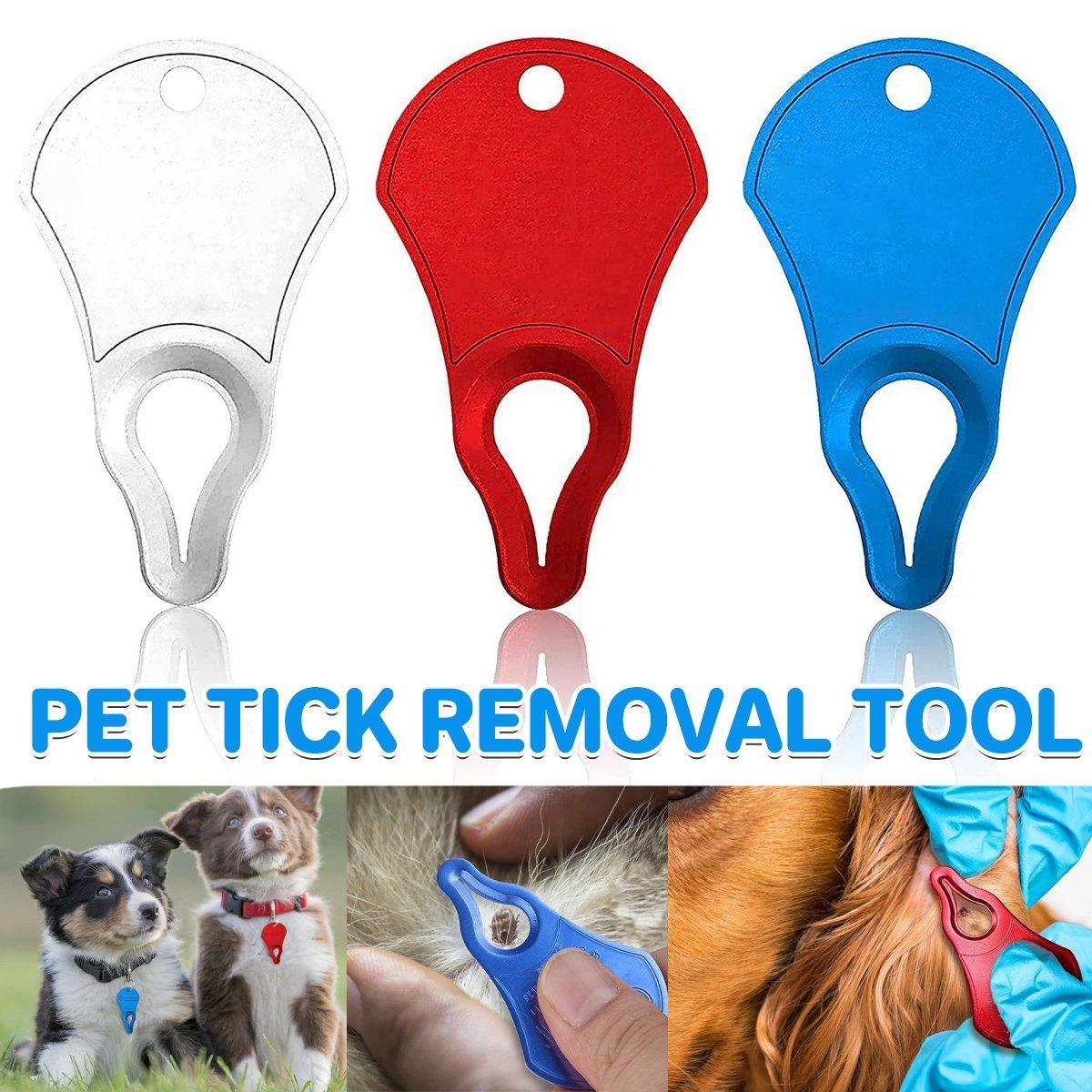 Compact aluminum pet tick removal tool with a notched tip in silver, red, and blue