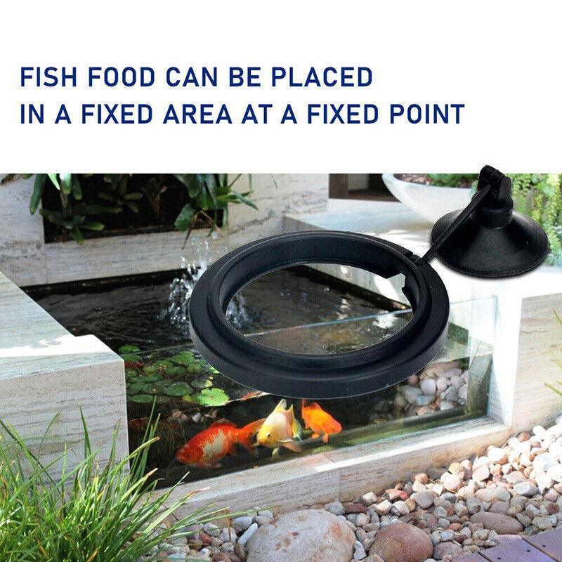 Blue floating fish feeding ring with suction cup mount for clean aquarium water — view 5