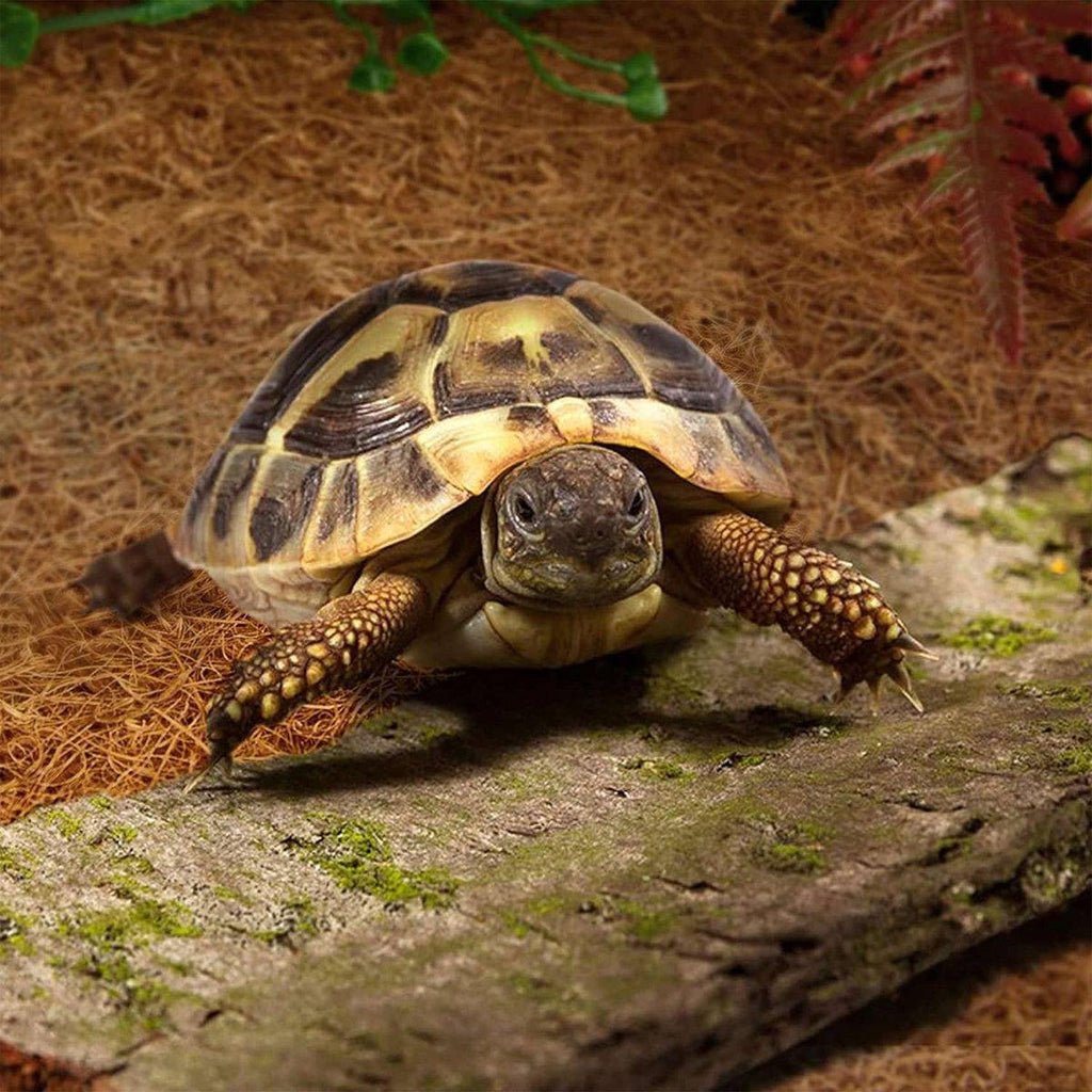 Brown natural coconut fiber reptile terrarium liner mat for tortoises and small pets — view 5