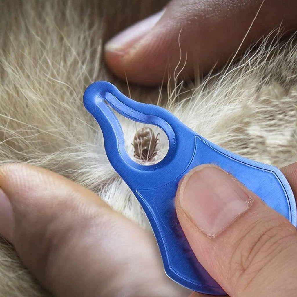 Compact aluminum pet tick removal tool with a notched tip in silver, red, and blue — view 5