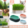 Catnip hydroponic box in pastel plastic for growing soil-free indoor cat grass