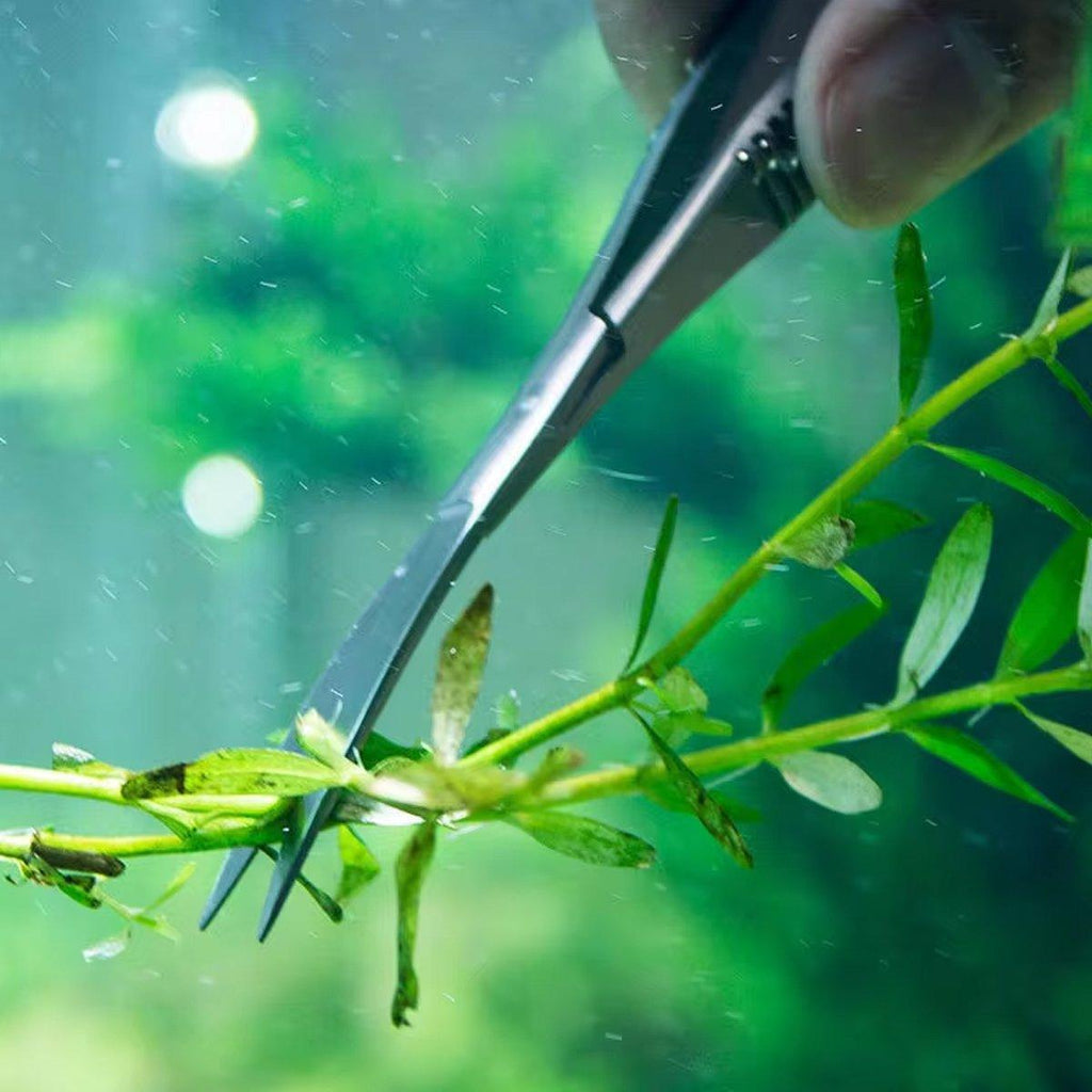 Aquarium plant scissors in stainless steel with straight or elbow blades and ergonomic spring handles — view 5
