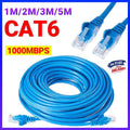 Cat6 Ethernet LAN network cable in blue with RJ45 connectors for high speed internet networking