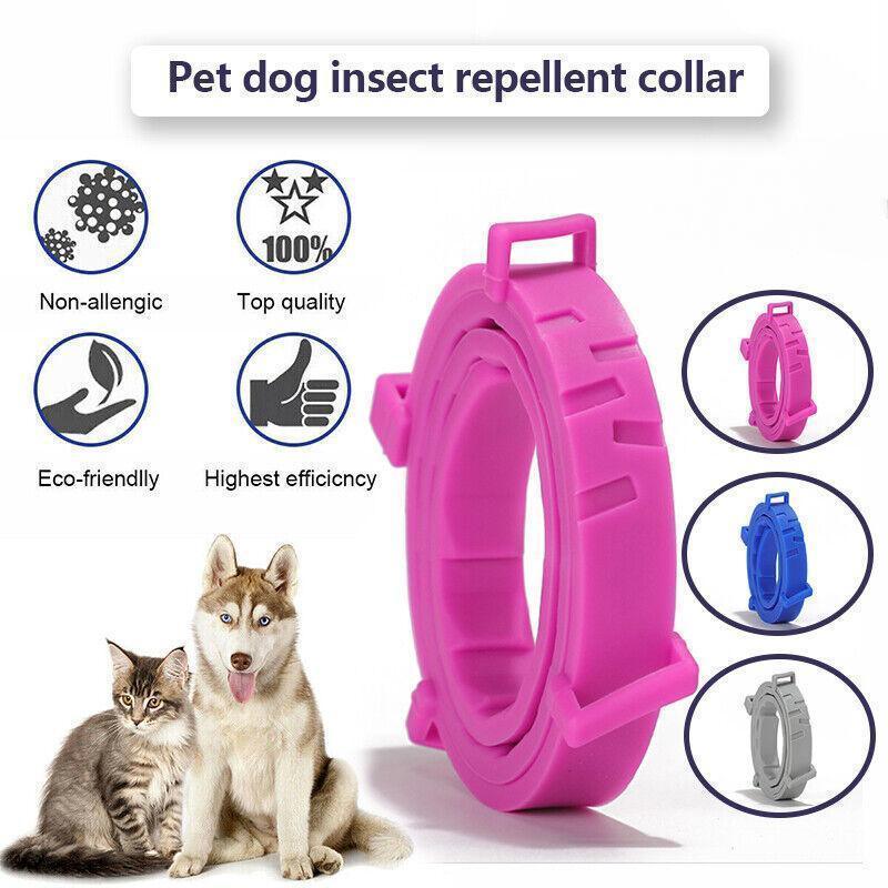 Adjustable flea and tick collar in waterproof silicone for dogs and cats with natural repellent