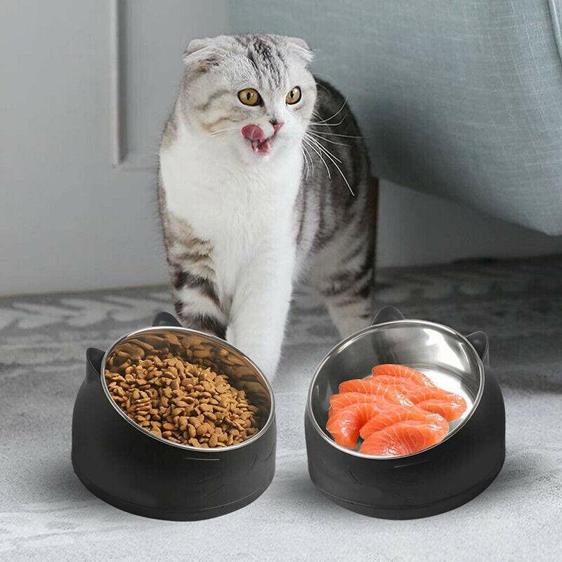 Raised stainless steel pet bowl with a 15-degree tilted colorful plastic base for easy feeding. — view 3