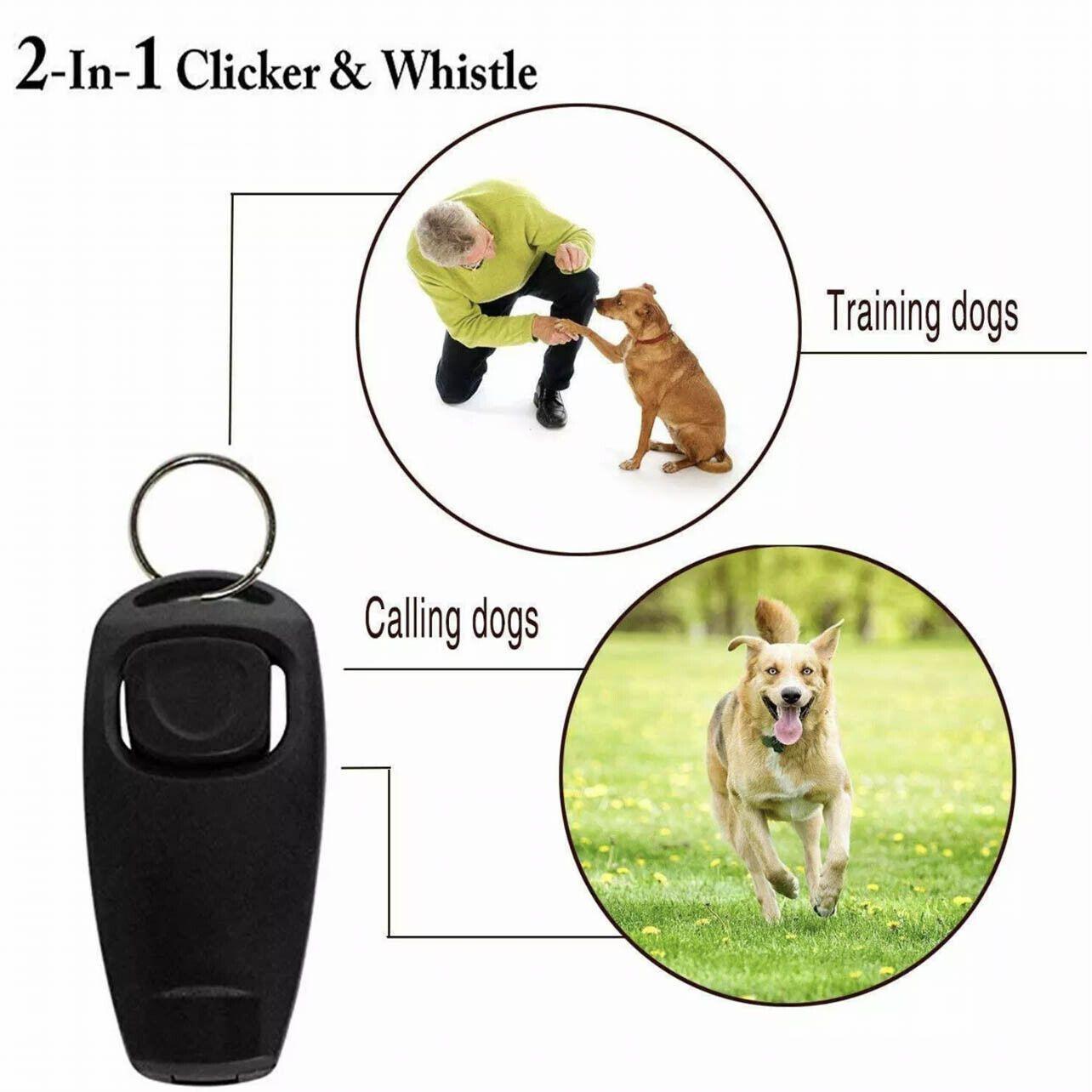 Dog whistle and clicker set for training in lightweight plastic with a convenient metal keychain attachment — view 5