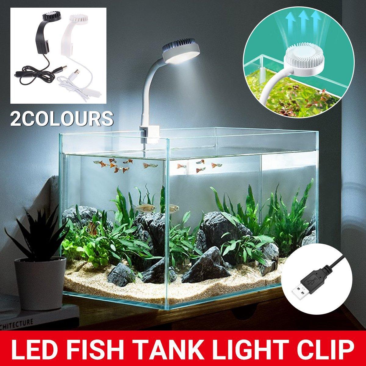 Small LED aquarium light clipped onto a desktop fish tank highlighting white and blue illumination