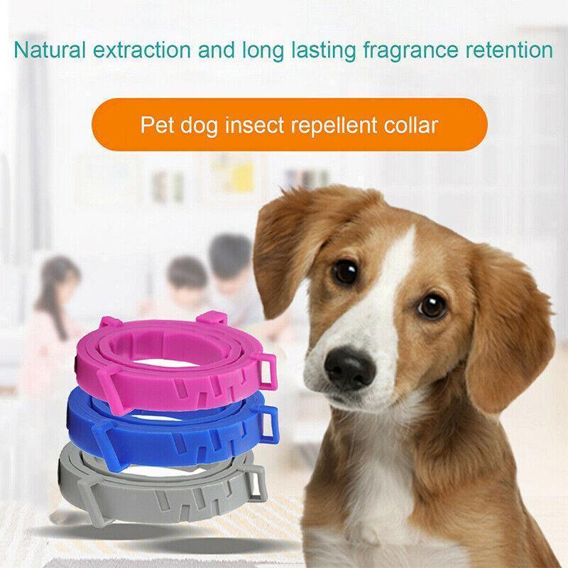 Adjustable flea and tick collar in waterproof silicone for dogs and cats with natural repellent — view 5