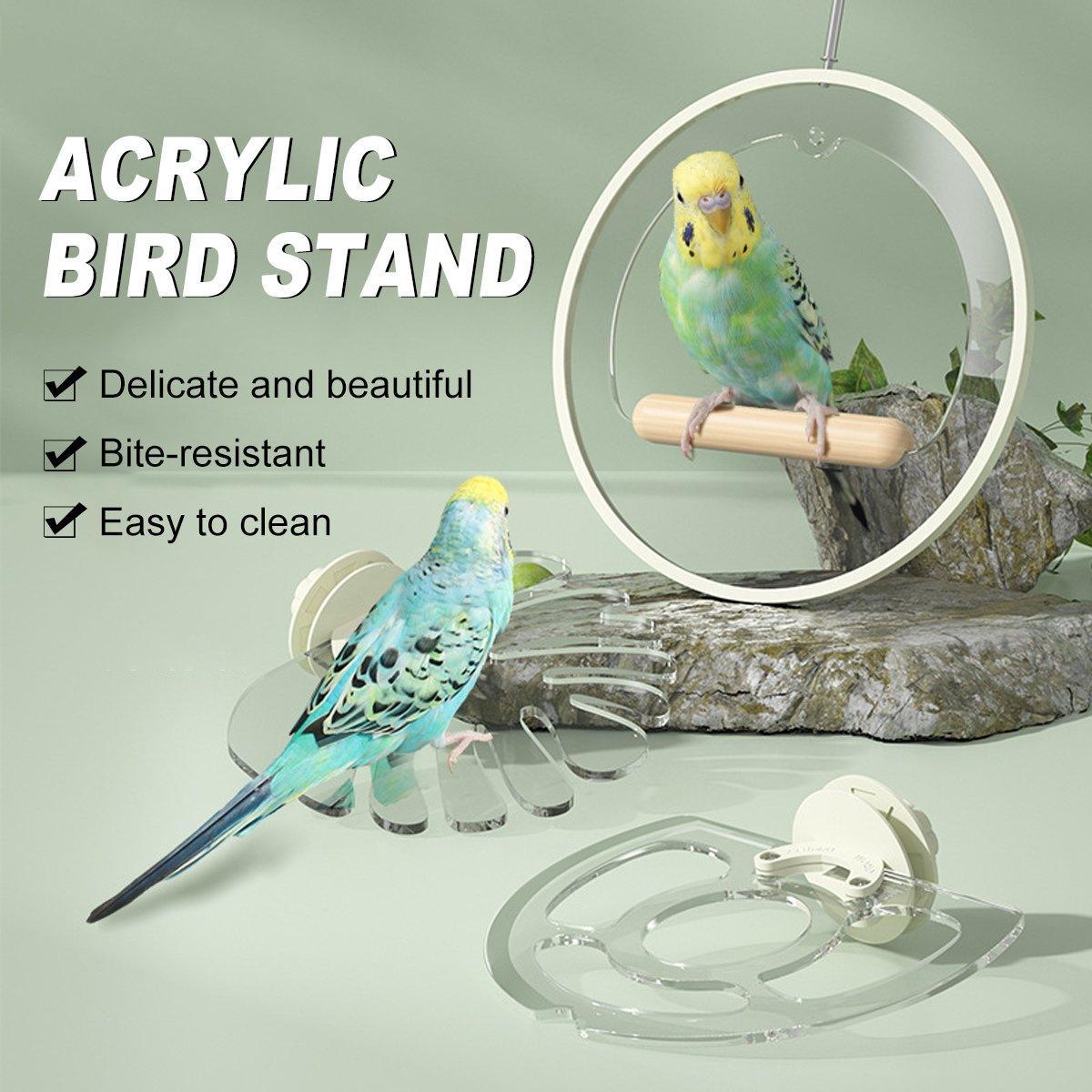 Clear acrylic bird stand with natural wooden perch for parrot and budgie cages