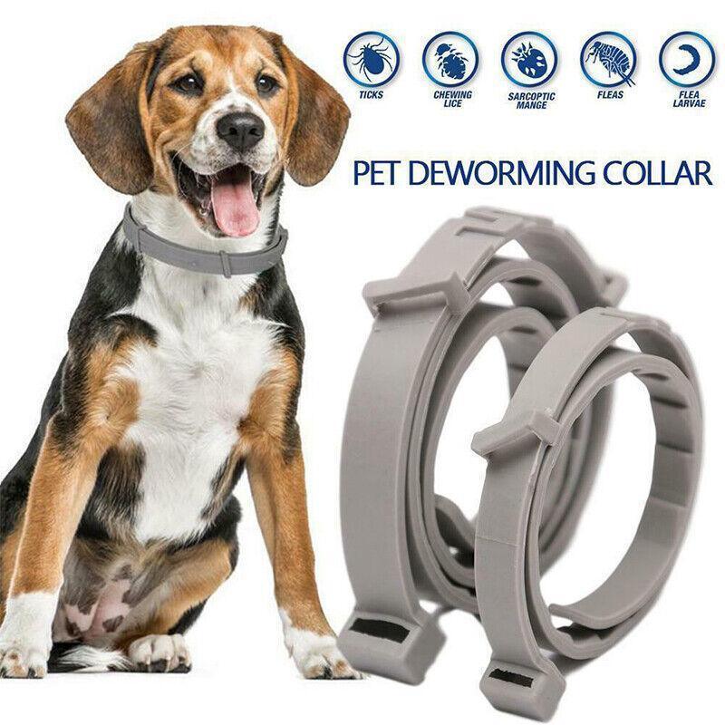 Adjustable flea and tick collar in waterproof silicone for dogs and cats with natural repellent — view 4